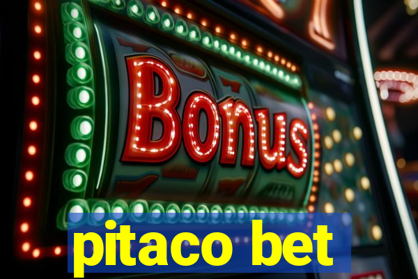 pitaco bet